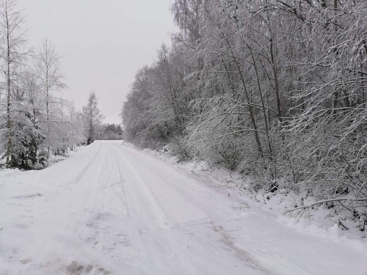 Perkonu Namins Villa Balvi Bagian luar foto