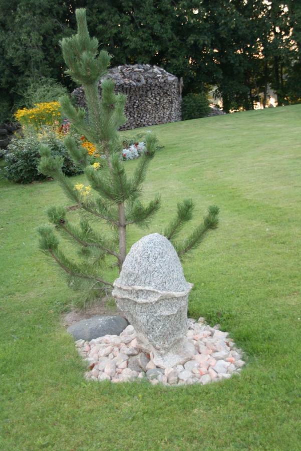 Perkonu Namins Villa Balvi Bagian luar foto