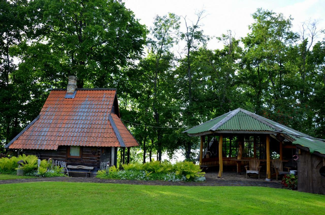 Perkonu Namins Villa Balvi Bagian luar foto